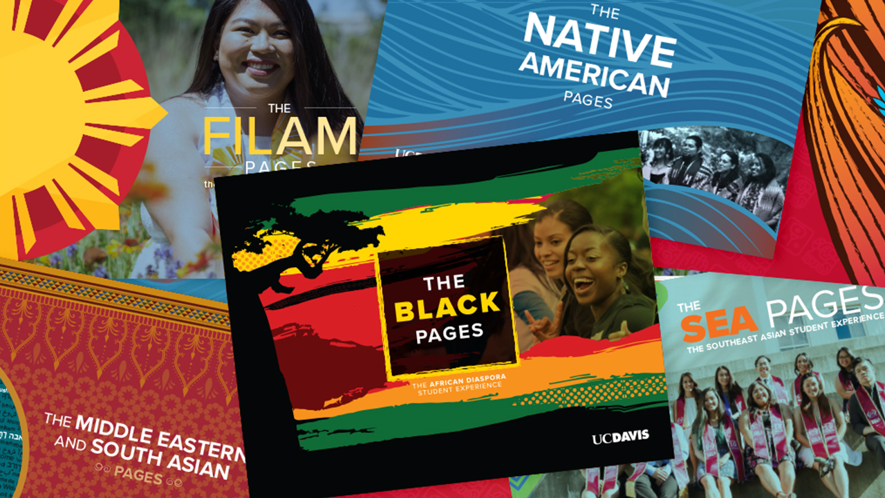 The six cultural guides SAMC created highlight resources for undergraduates.